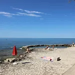 Laurus Nr3 In Front Of The Novigrad (Istria)
