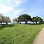 Laurus Nr3 In Front Of The * Novigrad (Istria)